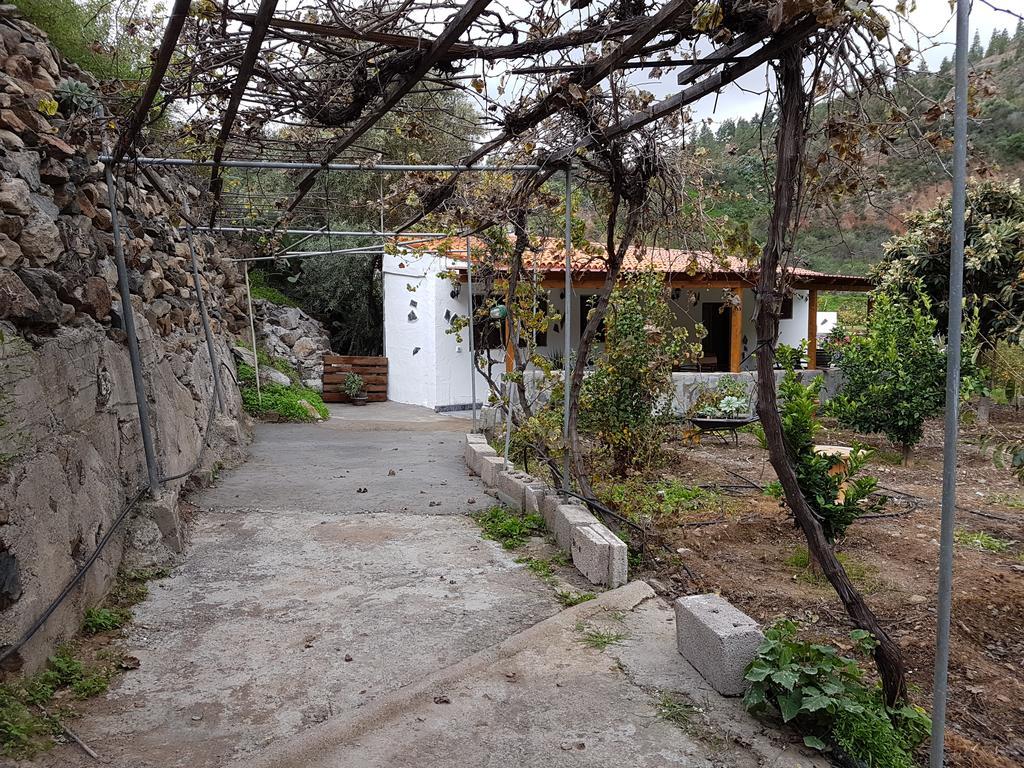 Casa Rural La Hoyita De Tunte San Bartolomé Buitenkant foto