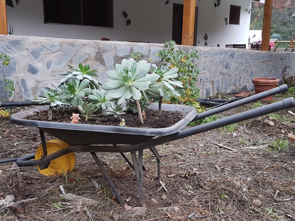 Casa Rural La Hoyita De Tunte San Bartolomé Buitenkant foto