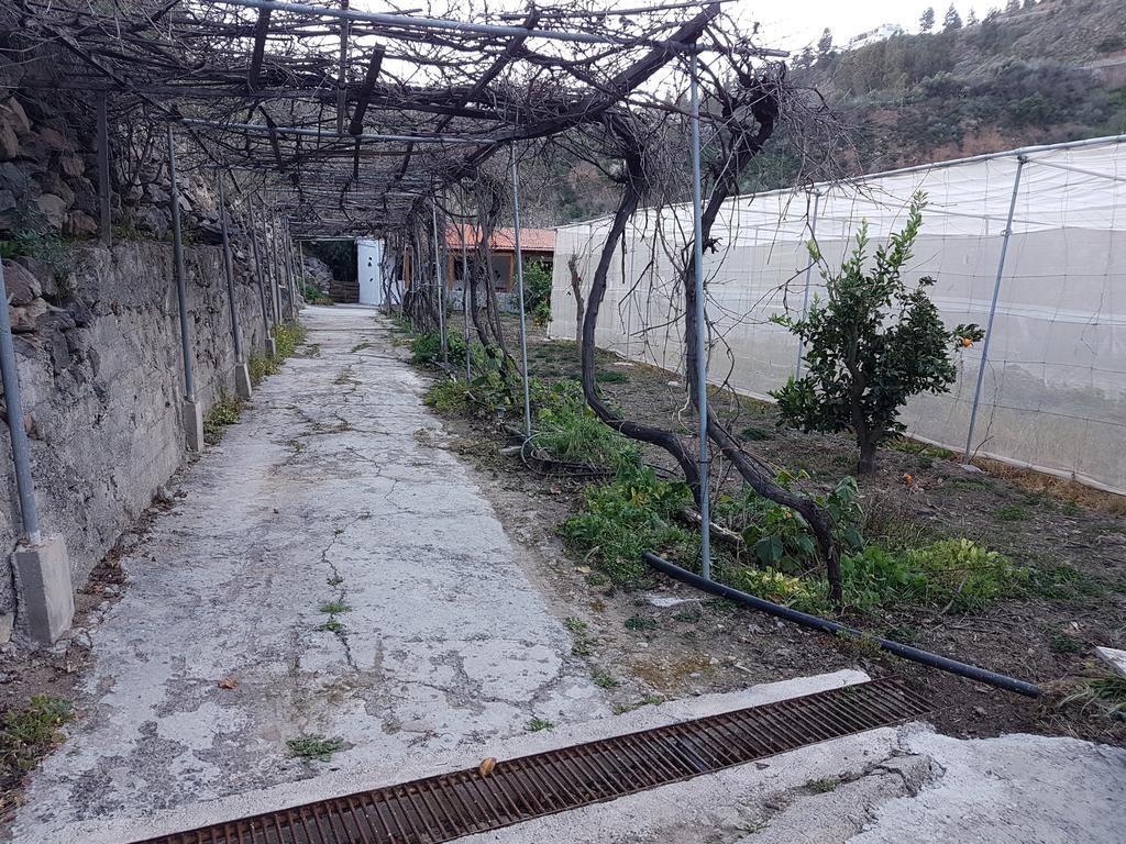 Casa Rural La Hoyita De Tunte San Bartolomé Buitenkant foto