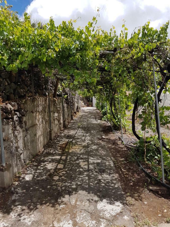 Casa Rural La Hoyita De Tunte San Bartolomé Buitenkant foto