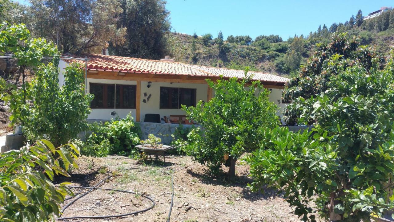 Casa Rural La Hoyita De Tunte San Bartolomé Buitenkant foto