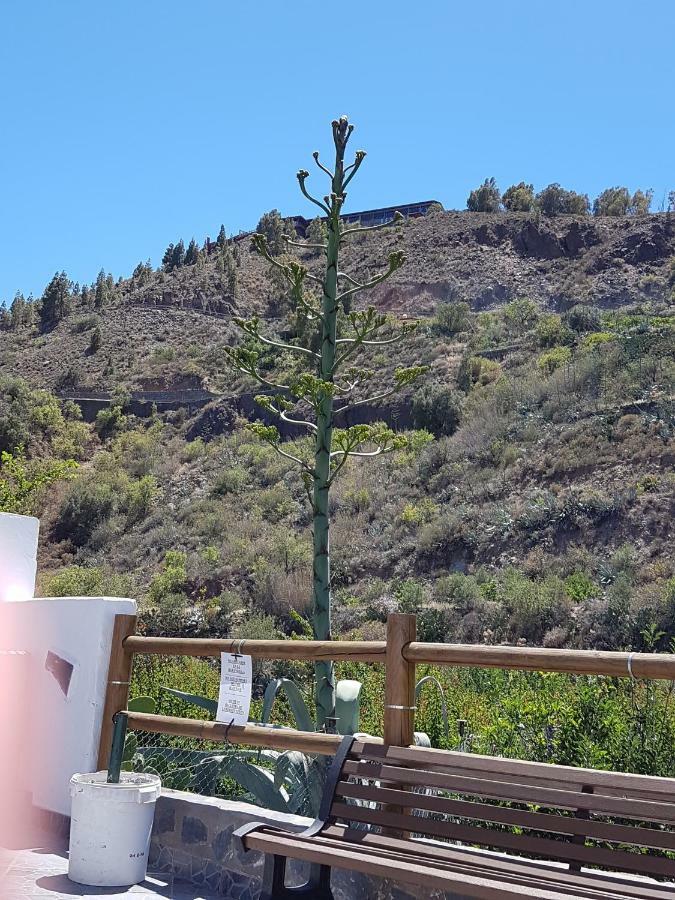 Casa Rural La Hoyita De Tunte San Bartolomé Buitenkant foto