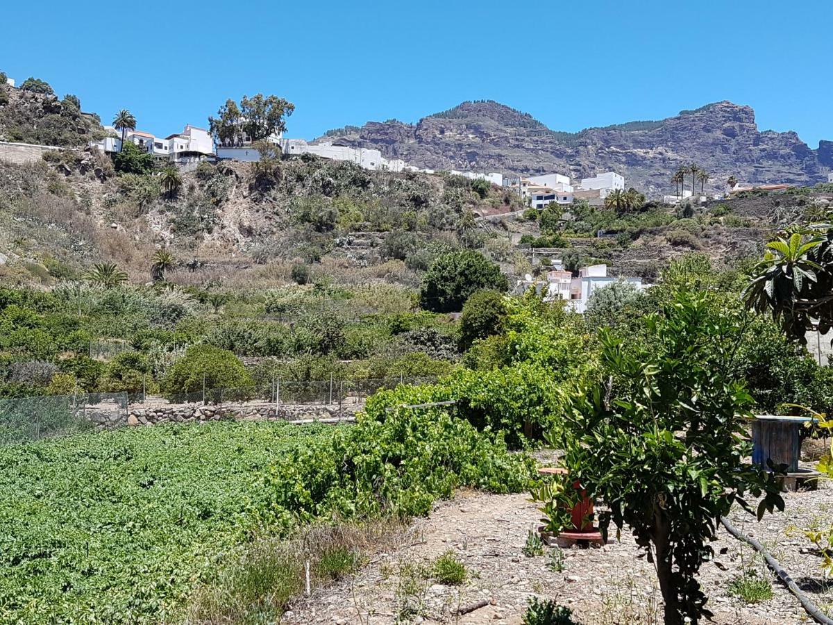 Casa Rural La Hoyita De Tunte San Bartolomé Buitenkant foto