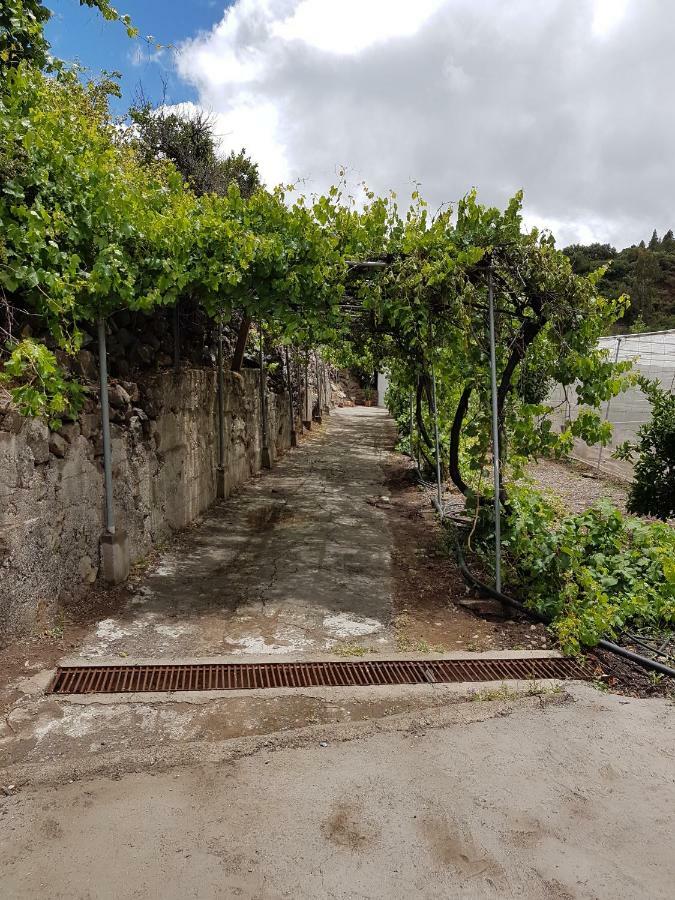 Casa Rural La Hoyita De Tunte San Bartolomé Buitenkant foto