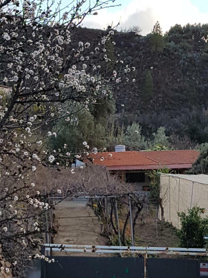 Casa Rural La Hoyita De Tunte San Bartolomé Buitenkant foto